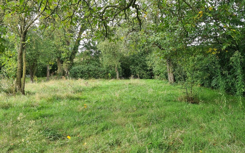 Terrain neuville