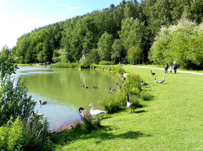 constructeur Villeneuve d'Ascq